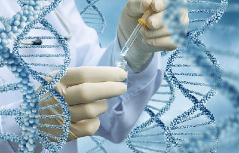 Фактори тривалого життя: як впливати на свій генетичний вік?