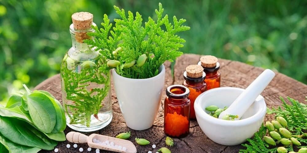 Запоминаем противопоказания трав