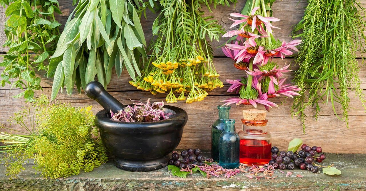 Несколько рецептов для вашего здоровья