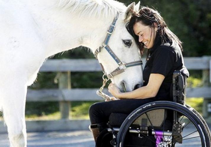 Іпотерапія. Лікування та реабілітація кіньми.