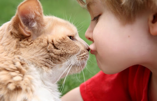 Глистові інвазії в дитячому віці  