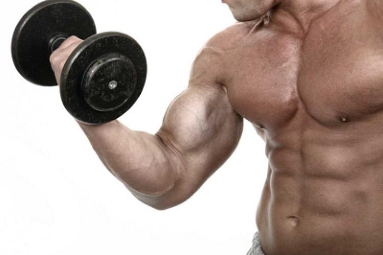 Як тренувати руки вдома. Комплекс вправ з гантелями