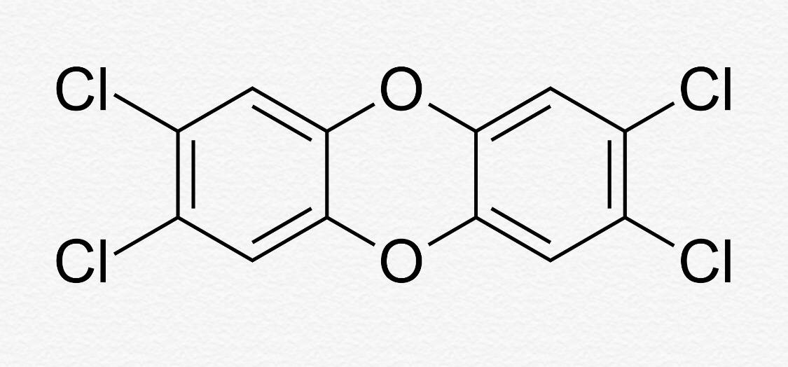 Что мы знаем про оспу?