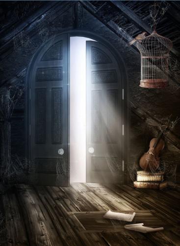 Коричневая дверь