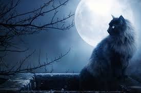 Мистика рядом с нами