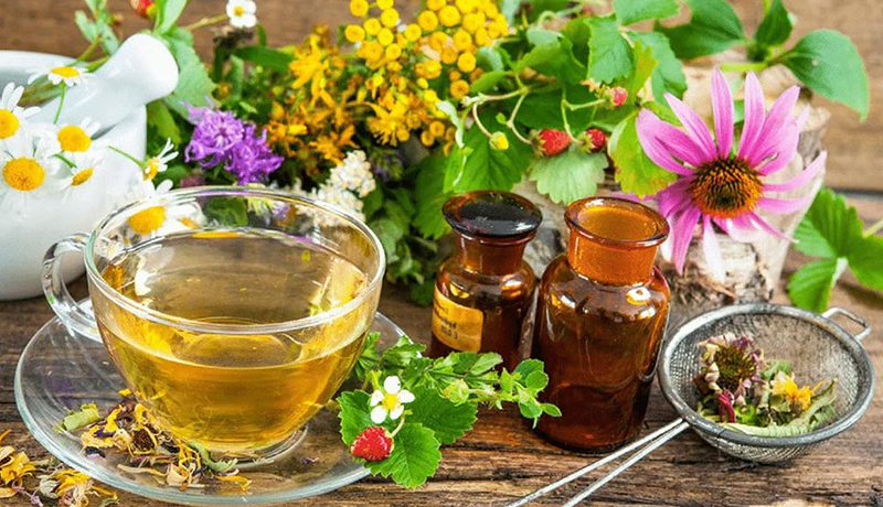 ПРОФІЛАКТИЧНЕ ЛІКУВАННЯ ЛІКАРСЬКИМИ РОСЛИНАМИ