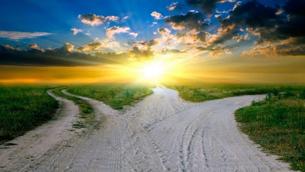 7 вправ, щоб знайти справу життя