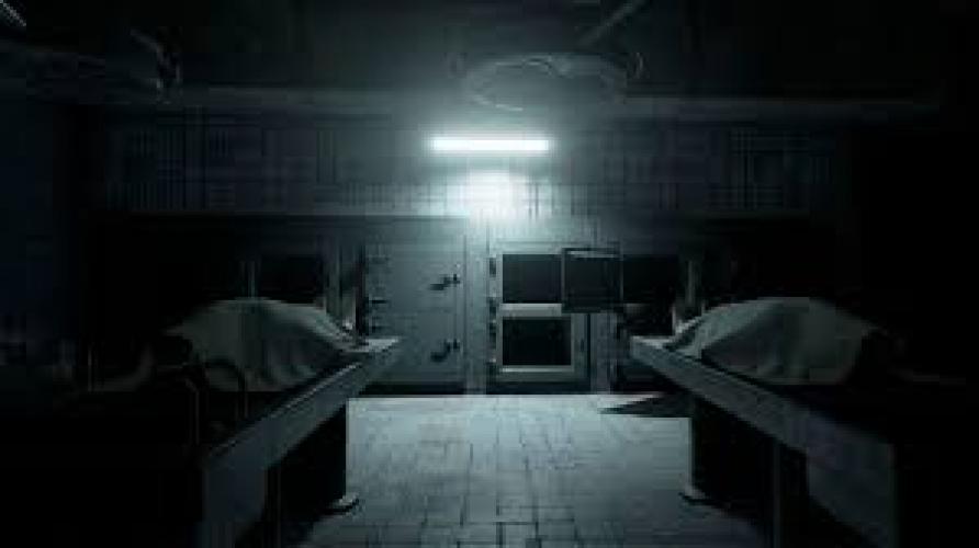 Ночной переполох