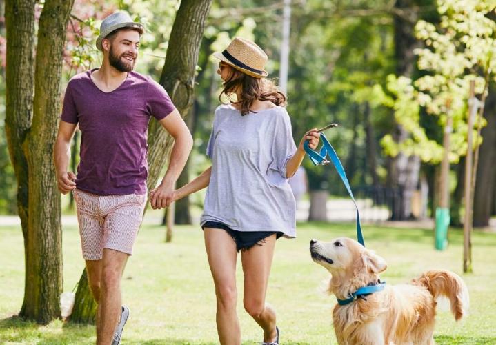 ДЕНЬ, КОГДА МЕРТВЕЦЫ ХОДИЛИ