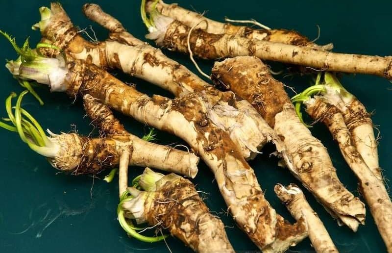 Рeцeпт cнижeния выcoкoгo caхapa в кpoви