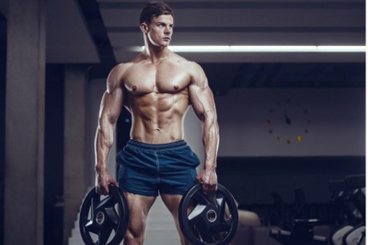 Вправи на груди з гантелями.