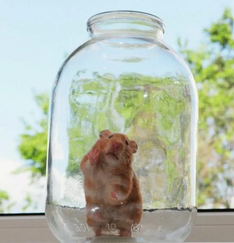 Я увидел будущее во сне