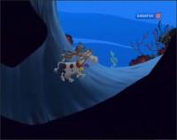 Корова, кот и океан - Выход здесь