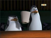 Пингвины из Мадагаскара - 2x38 - Операция 'Шокспир'