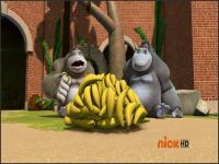 Пингвины из Мадагаскара - 2x43 - Очерострофа