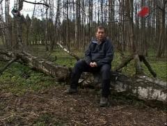 С лёгким паром! - О русской бане