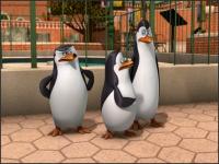 Пингвины из Мадагаскара - 2x25 - Доведенные до ручки