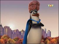 Пингвины из Мадагаскара - 2x37 - Опасность носит плащ