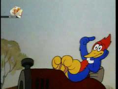 Вуди Вудпекер - Должник незнакомец