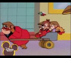 Чип и Дейл спешат на помощь - Как мы нянчились с бельчатами