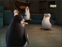 Пингвины из Мадагаскара - 2x35 - Утечка мозгов