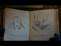 Барашек Шон - Tooth Fairy