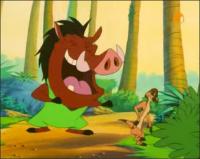 Приключения Тимона и Пумбы - Мисс совершенство, Университет Хакуны Мататы