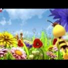 Бджілка Майя 3D (2012) - 29. Суддя Бджоловоск