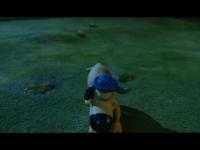 Барашек Шон - The Visitor