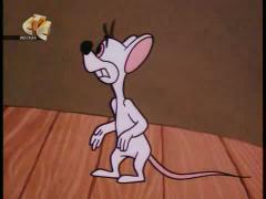 Вуди Вудпекер - Пес шоумен