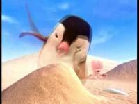 Приключения Дельфинёнка Муму - Жестокий осминожка