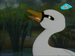 Сказки дядюшки Бобра - Утёнок вырос