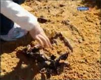 Забавная наука - 149 выпуск