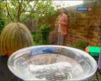 Забавная наука - 118 выпуск