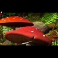 Бджілка Майя 3D (2012) - 51. Гармонія на лузі