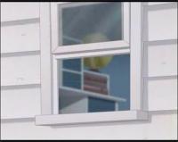 Секреты плюшевых мишек - Как трудно быть любимцем