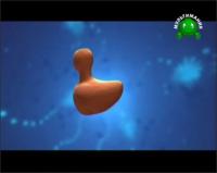 Тельмо и Тула. Самоделкины - Глиняные курочки