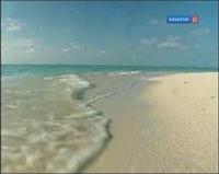 Забавная наука - 45 выпуск