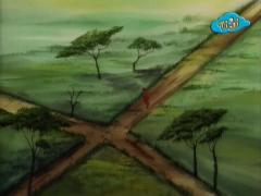 Сказки дядюшки Бобра - История Зойо