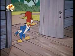 Вуди Вудпекер - Кровная вражда