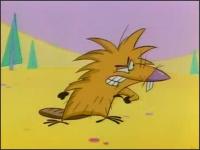 Крутые Бобры - Рождены, чтобы быть бобрами