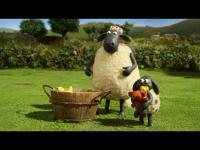 Барашек Шон - Spring Lamb