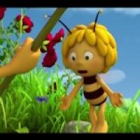 Бджілка Майя 3D (2012) - 35. Велике викрадення