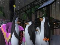 Пингвины из Мадагаскара - 15: Маленький Зоо-переворот