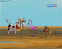 Корова, кот и океан - Незыбучие пески