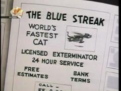 Вуди Вудпекер - Кошачие страдания