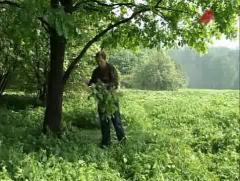 С лёгким паром! - О вениках