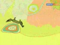 Знаете ли вы что?.. - Круглопалый геккон