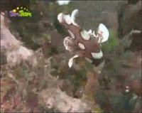 На дне моря - Сладкогуб пятнистый