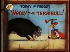 Вуди Вудпекер - Голивудский мотодор